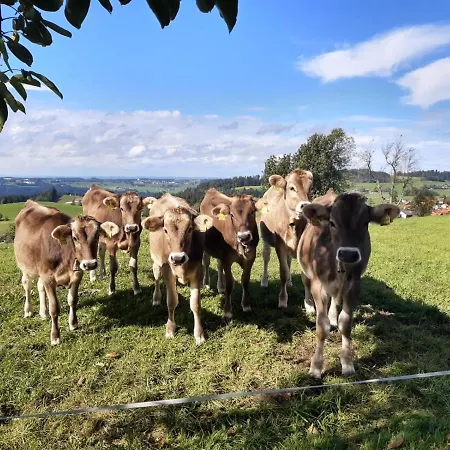 Apartament Pickenhan Scheidegg