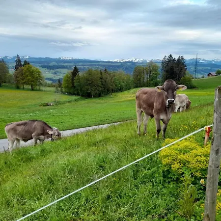 Pickenhan * Scheidegg
