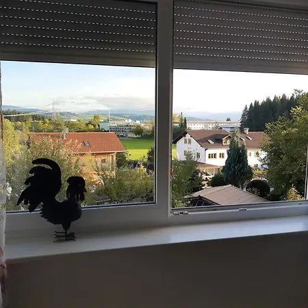 Pickenhan Apartmán *