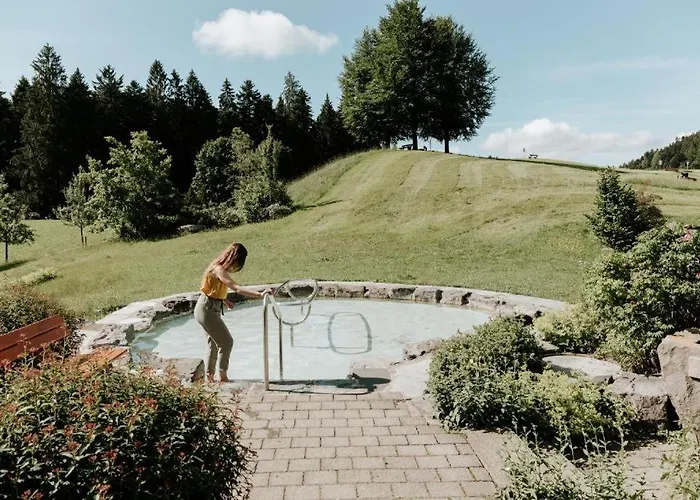 Pickenhan Scheidegg