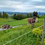Pickenhan * Scheidegg