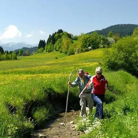 Pickenhan Apartmán Scheidegg