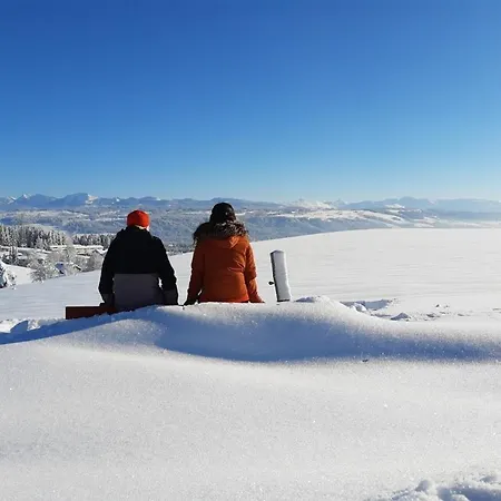 Pickenhan Daire Scheidegg