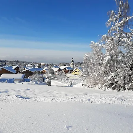 Pickenhan Apartmán *